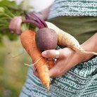 apron_patterned_harvest5.jpg